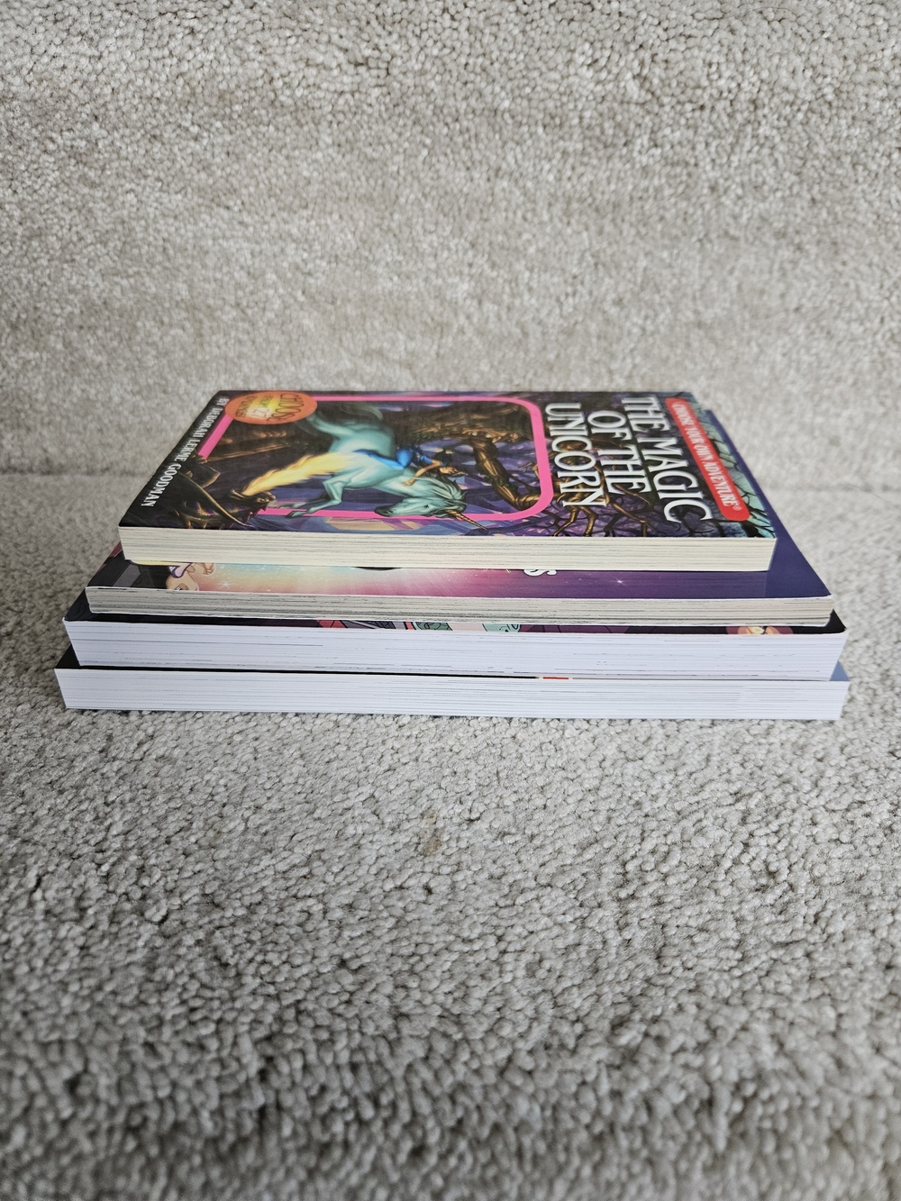 4 Pack Random Books - Picture 7 of 8